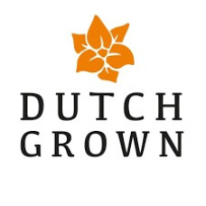 20% Off Daffodil & Narcissus