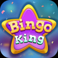 bingo-king-promo-code